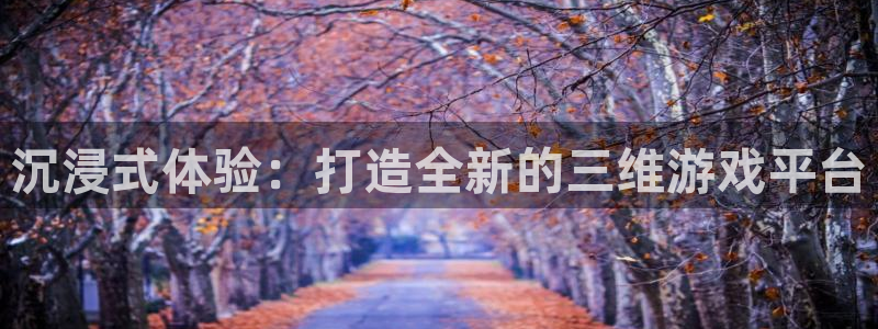 28大神官网：沉浸式体验：打造全新的三维游戏平台