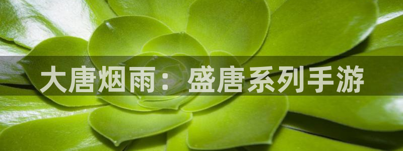 火狐电竞预测官网：大唐烟雨：盛唐系列手游