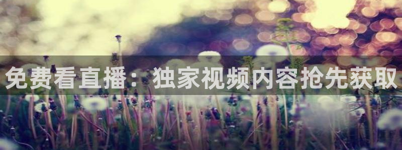 新闻图片