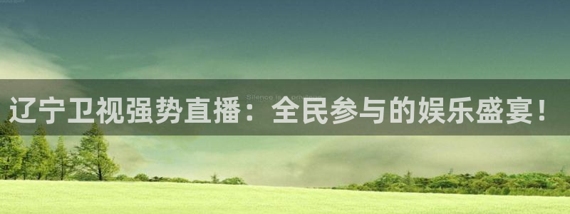五星体育直播观看f1：辽宁卫视强势直播：全民参与的娱乐盛宴！