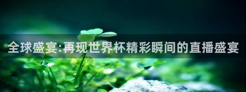 五星体育直播在线观看f1：全球盛宴:再现世界杯精彩瞬间的直播盛宴